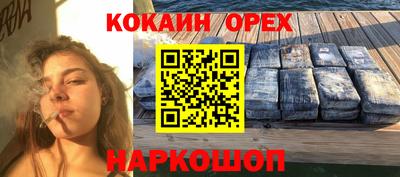 трава Сланцы