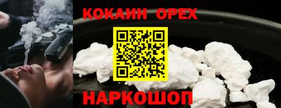 трава Сланцы