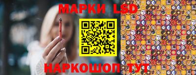 трава Сланцы