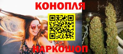 трава Сланцы