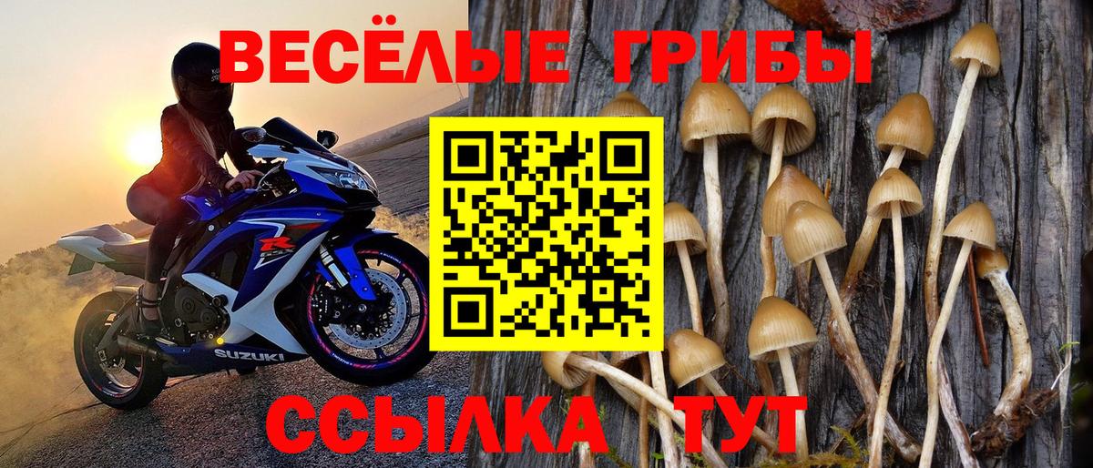 Галлюциногенные грибы Cubensis  Вход с VPN  Псилоцибиновые грибы Psilocybe  Ростов Великий 