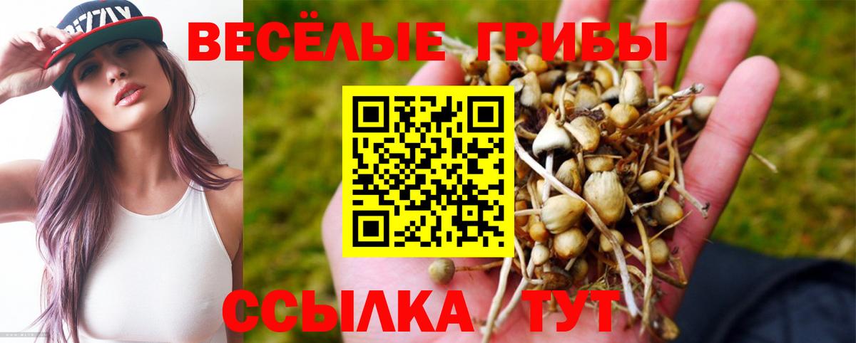 Псилоцибиновые грибы ЛСД Ростов Великий